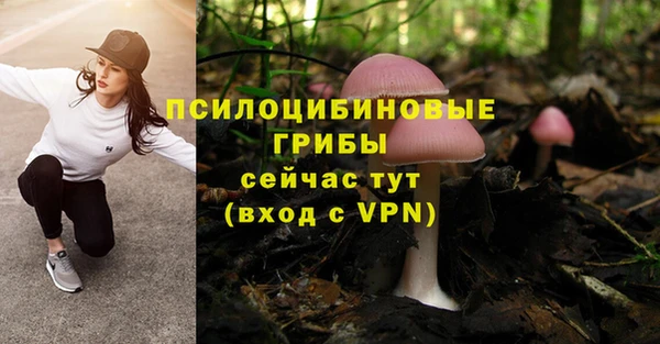 прущая мука Надым