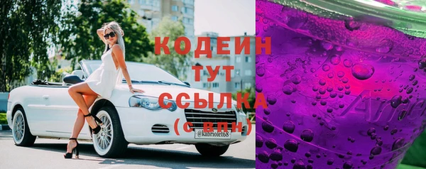 индика Наволоки