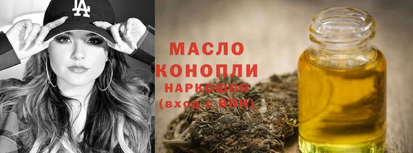 индика Наволоки