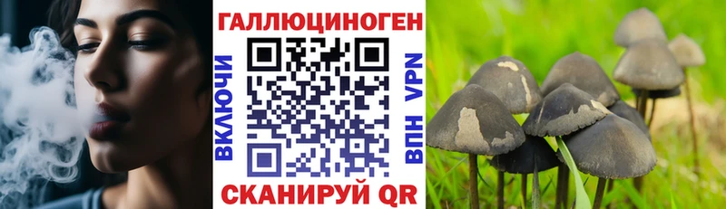 Галлюциногенные грибы Psilocybe  Купить  Серафимович 